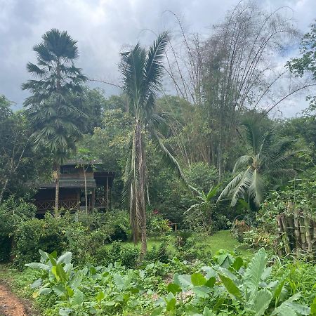Caoni Riverside Lodge Puerto Quito Exterior photo
