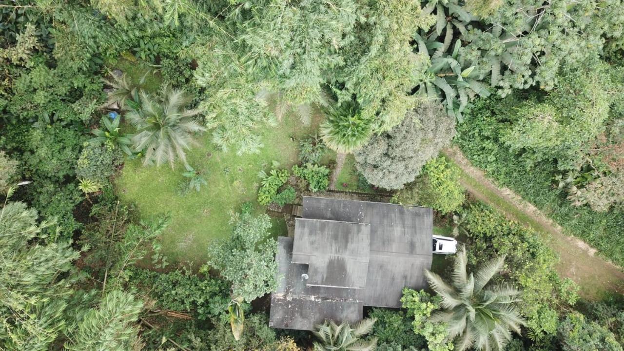 Caoni Riverside Lodge Puerto Quito Exterior photo