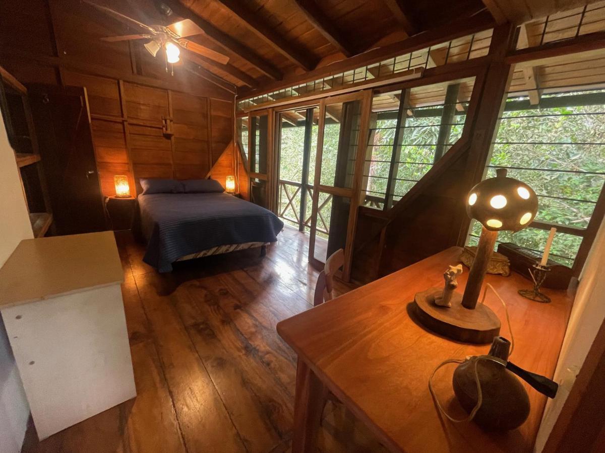 Caoni Riverside Lodge Puerto Quito Exterior photo
