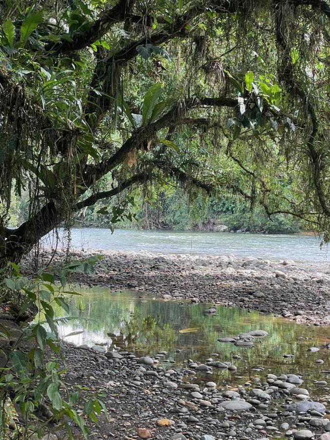 Caoni Riverside Lodge Puerto Quito Exterior photo