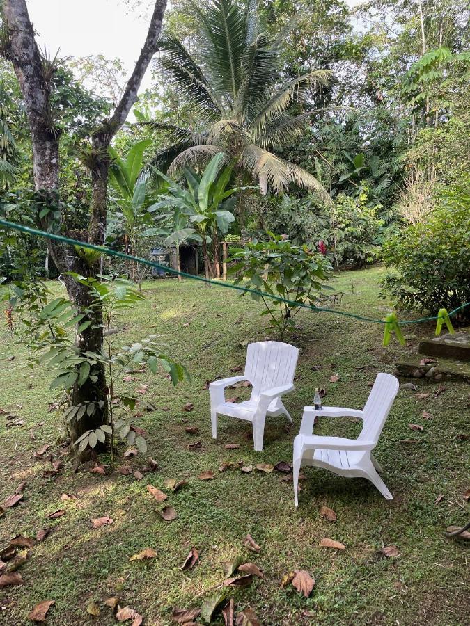 Caoni Riverside Lodge Puerto Quito Exterior photo